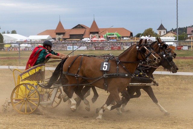 伍家朗用行 伍家朗用行