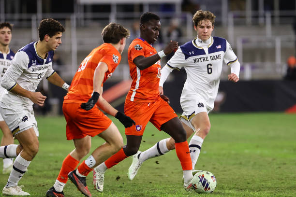 自然融入 自然融入