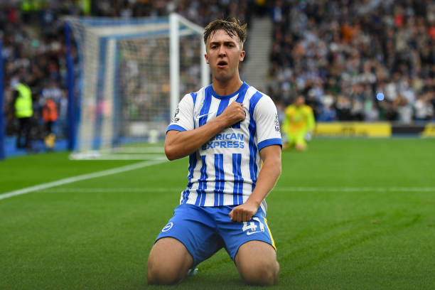 市场上的热 市场上的热